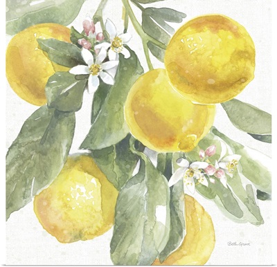 Citrus Charm Lemons II