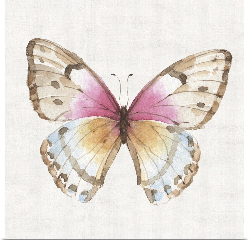 Contemporary artwork of a butterfly with pink, blue and orange in the wings.