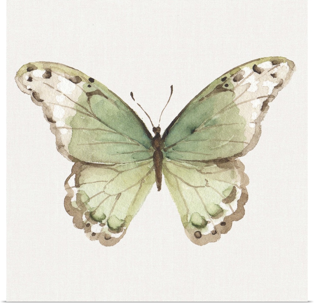 Contemporary artwork of a butterfly with green wings.