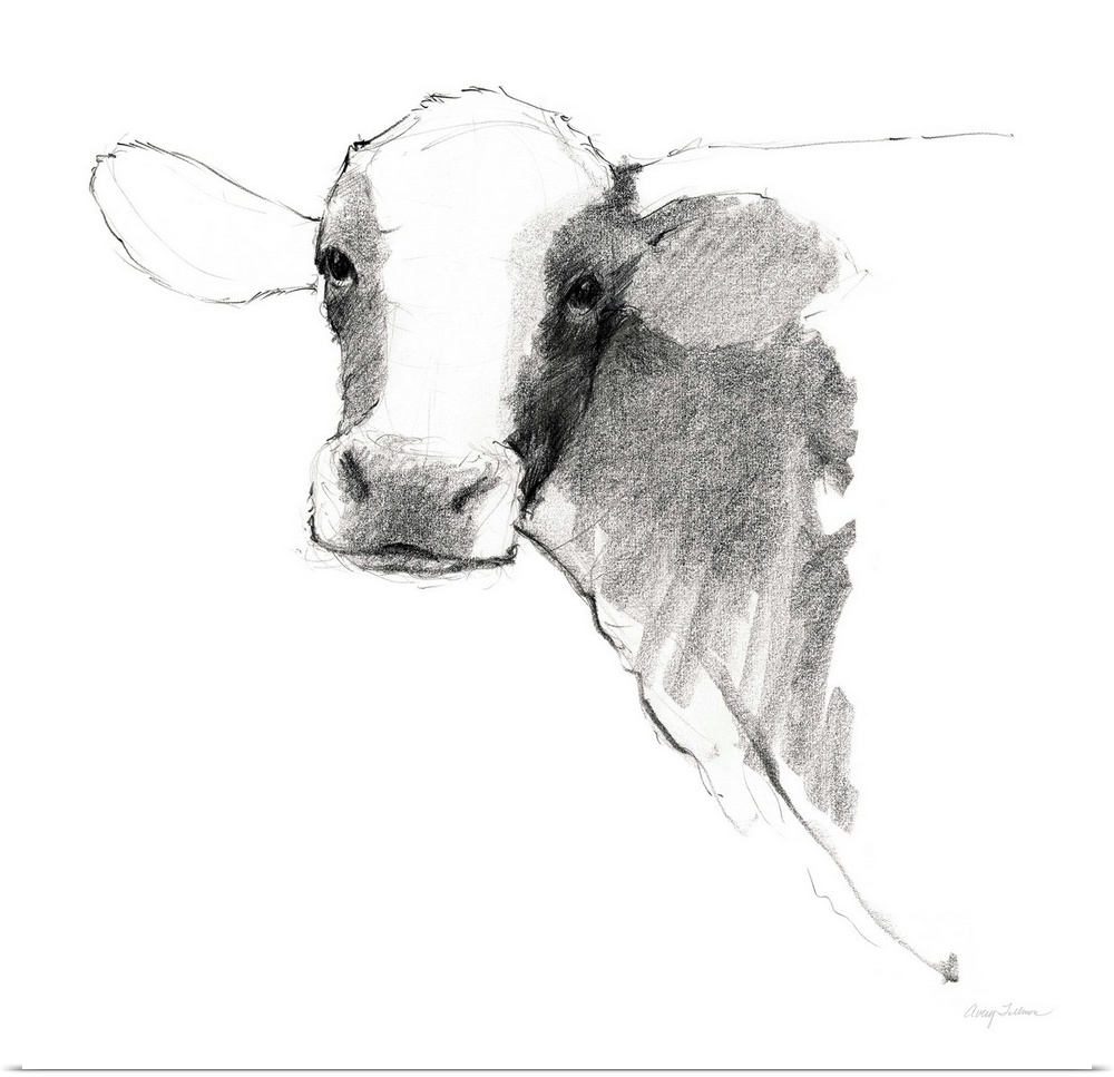Black and white illustration of a cow on a solid white, square background.