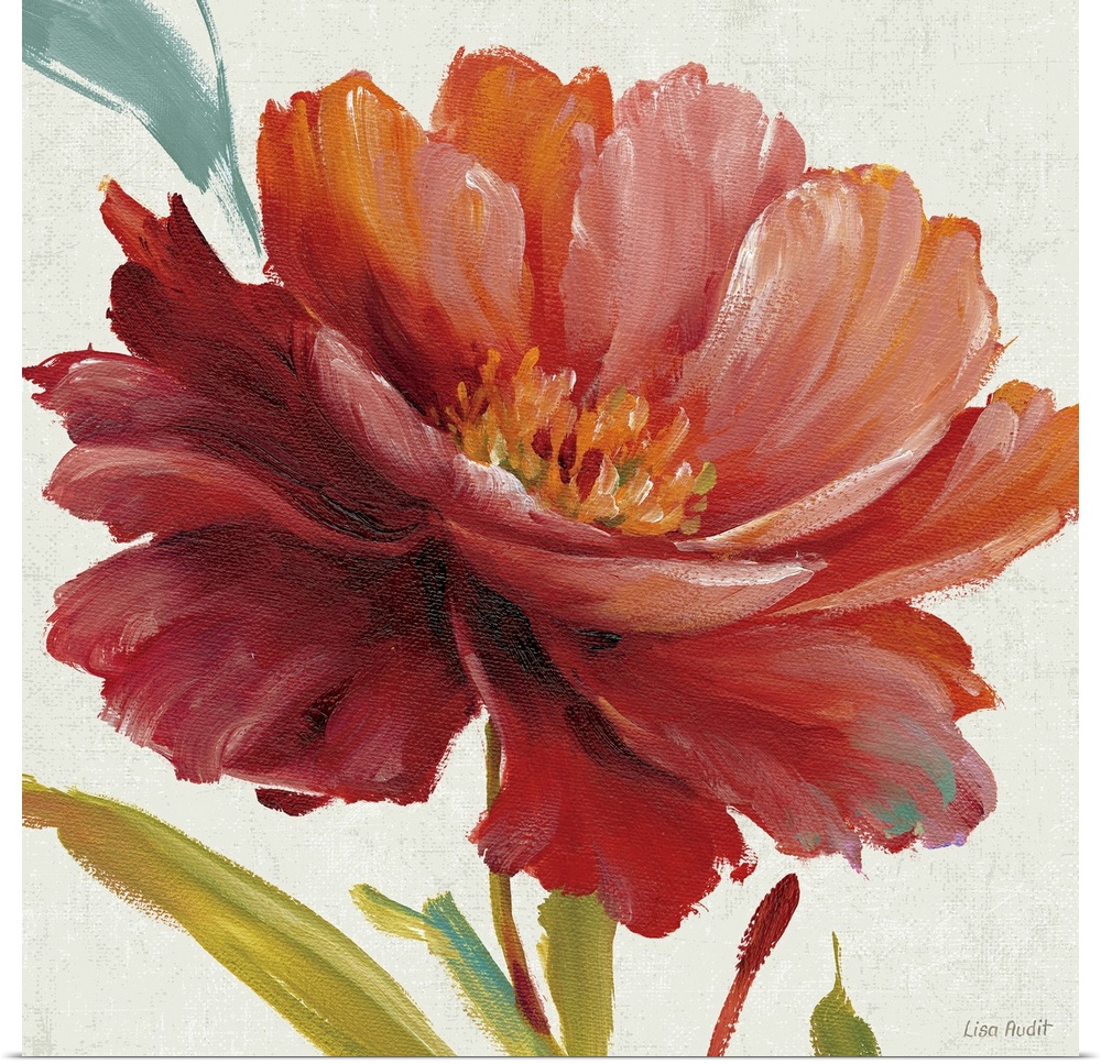 Big, square floral painting of a large, vibrant bloom on a neutral background.  Painted with thick, flowing brushstrokes t...