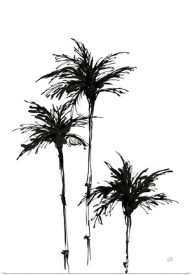 Dark Palms II