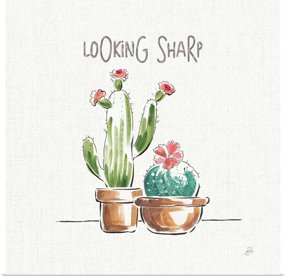 "Looking Sharp" with illustrations of two cacti with pink flowers on a white and gray background.