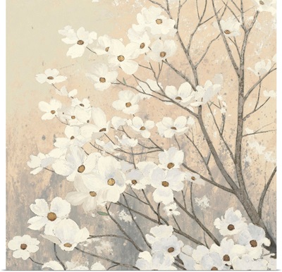 Dogwood Blossoms II Neutral