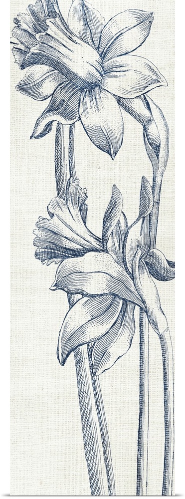 Vintage stylized illustration of flowers.
