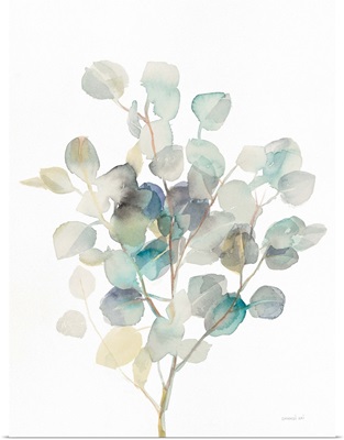 Eucalyptus III White