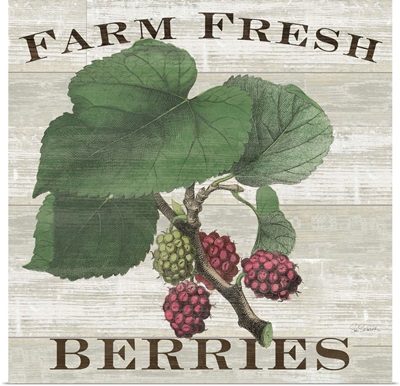 Farm Fresh Berries