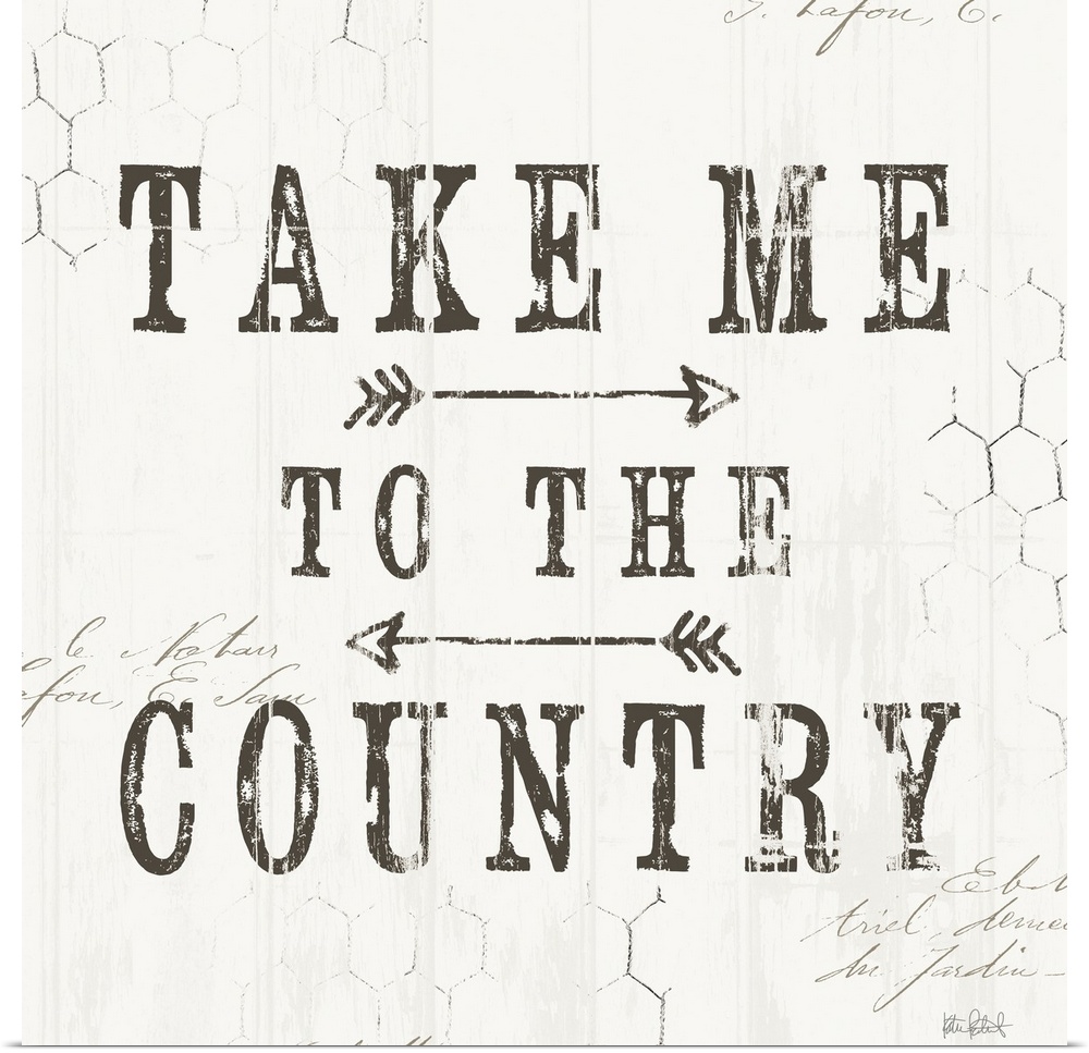 A distress design of "Take Me To The Country" with chicken wire in the background.