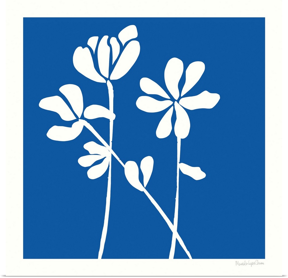 A very simple, two-color contemporary illustration of flower stems in white silhouetted against a deep blue background