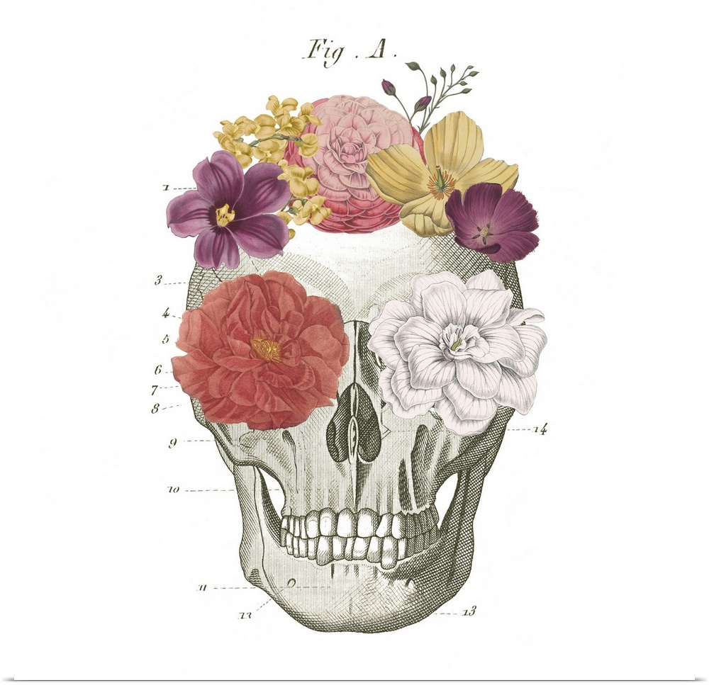 Decorative artwork of a skull diagram with flowers on the eyes and head.
