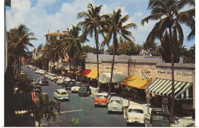 Florida Postcard IV