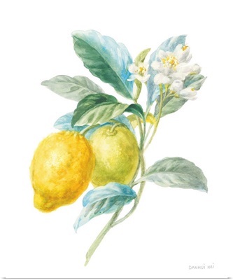 Floursack Lemon II on White