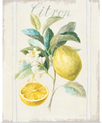 Floursack Lemon IV v2