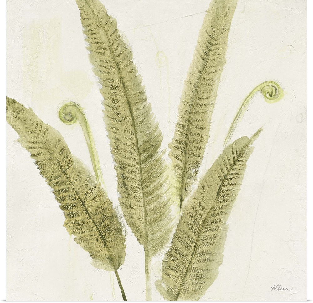 Textured painting of a fern fronds on a white, square background.
