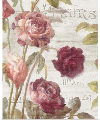 French Roses II