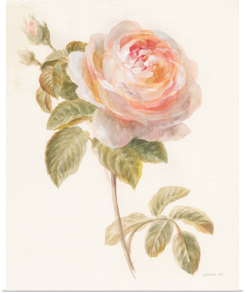 Contemporary artwork of watercolor garden flower over a soft textured background.