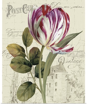 Garden View II - Tulip