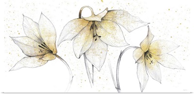 Gilded Graphite Floral Trio