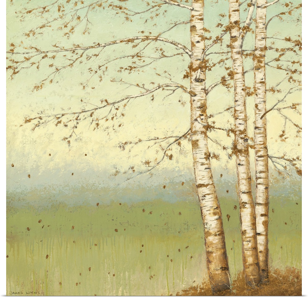 Square painting on a giant wall hanging of several birch trees dropping what's left of their golden leaves, a grassy meado...