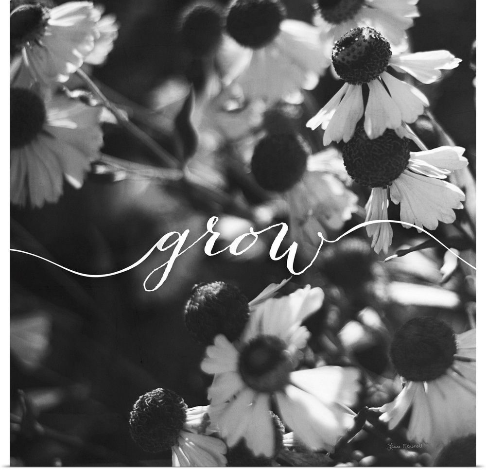 Handlettering in white across a black and white photograph of flowers.
