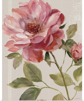 Harmonious Rose Linen