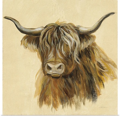 Highland Animal Cow