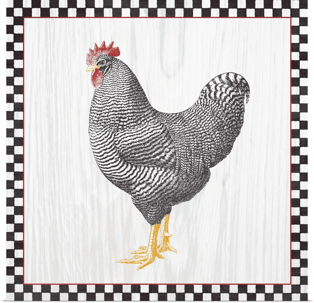 A single rooster on a wood grain background with a black and white checkered boarder with red trim.