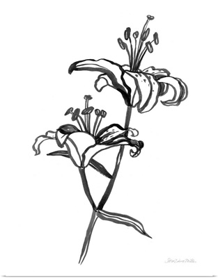 Ink Lilies I