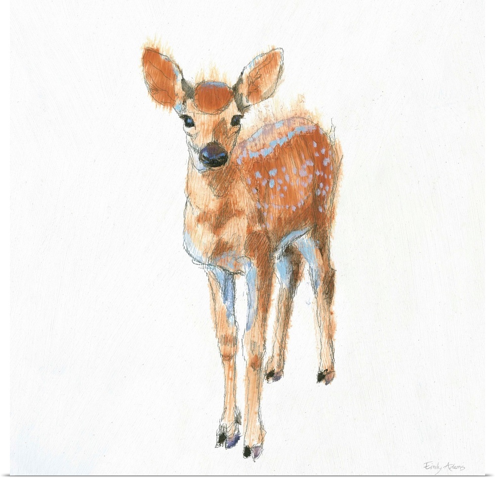 Artwork of a fawn against a white background.