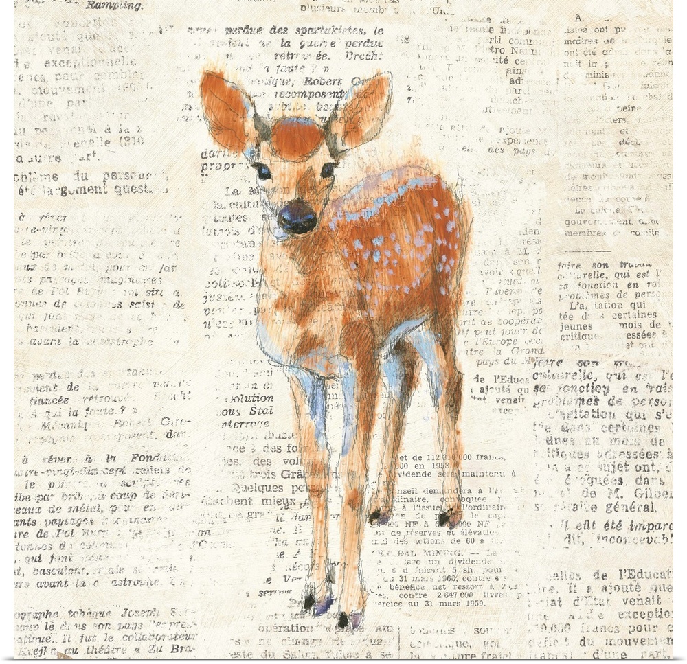 Artwork of a fawn against a distressed newsprint background.