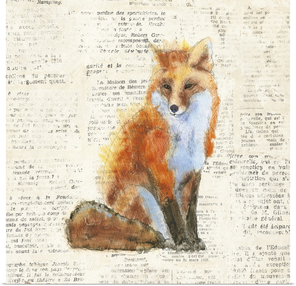 Artwork of a red fox against a distressed newsprint background.