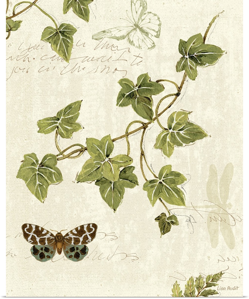 Botanical illustration featuring green ivy twigs and butterflys on a neutral background with cursive handwriting scattered...