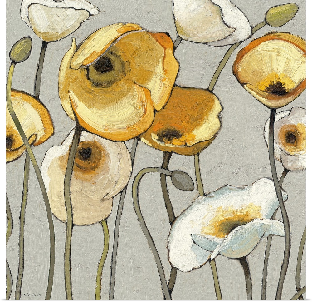 Oversized, square contemporary painting of a group of poppies in light and golden colors, extending upwards on a solid bac...