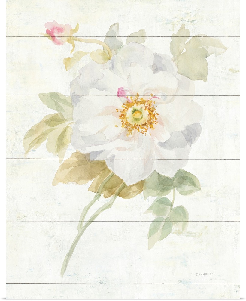 Contemporary artwork of a white blooming rose on a cream colored wood background.