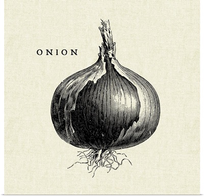 Linen Vegetable BW Sketch Onion