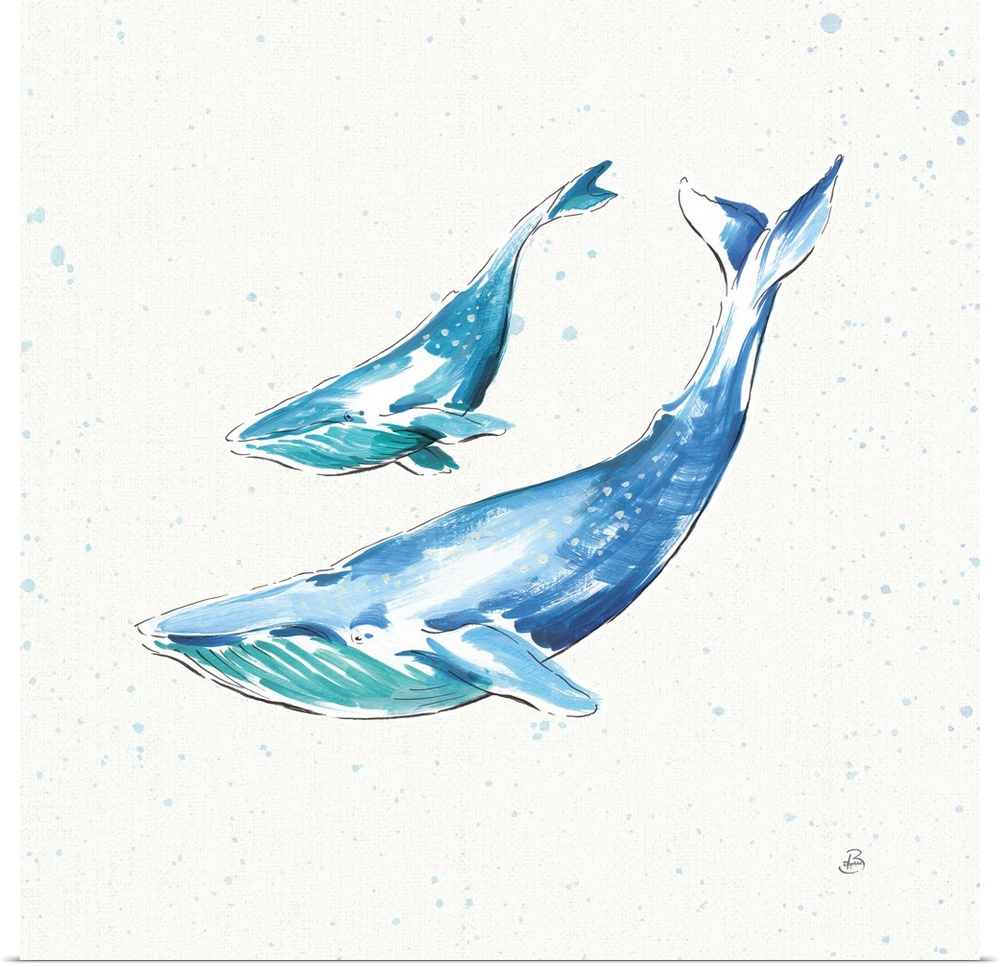 Two blue whales swimming on a white square background with light blue paint splatter.