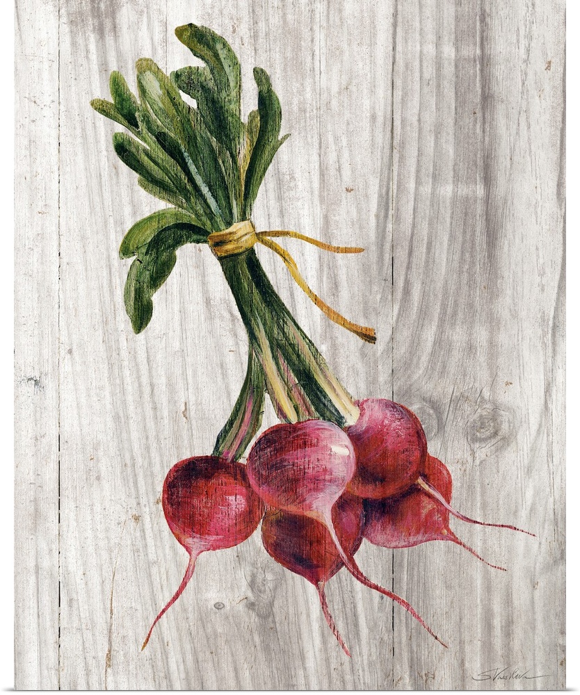 Rustic painting of a bundle of radishes on a white and gray wooden background.