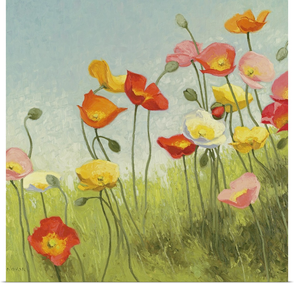 Large contemporary art showcases a gathering of warm toned poppy flowers and buds sitting within an open field of tall gra...