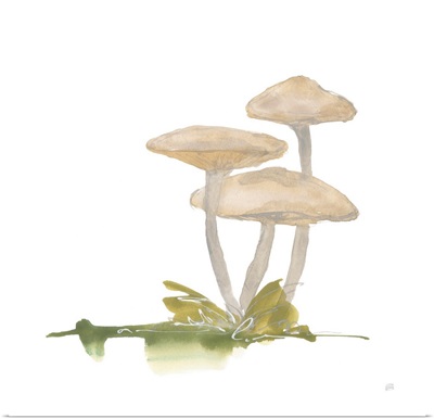 Mellow Mushrooms I