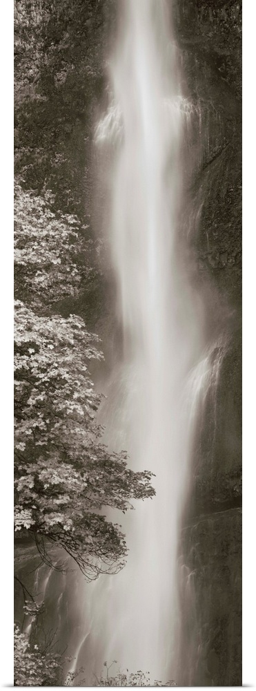 A black and white photograph of a waterfall rushing down over over rocks in a forest.