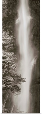 Multnomah Falls Panel