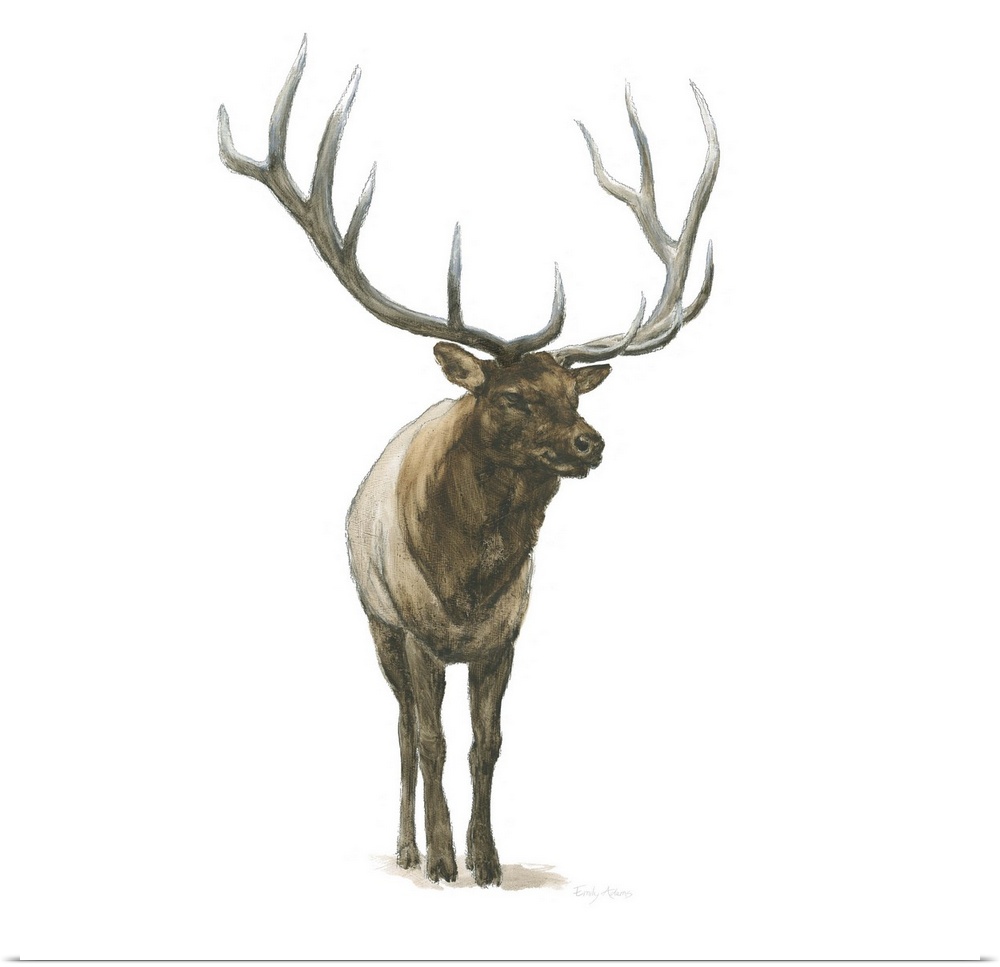 Square painting of an elk with large antlers on a solid white background.