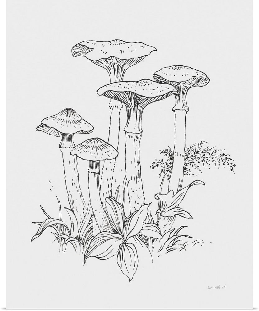 Natures Sketchbook I Bold Light Gray