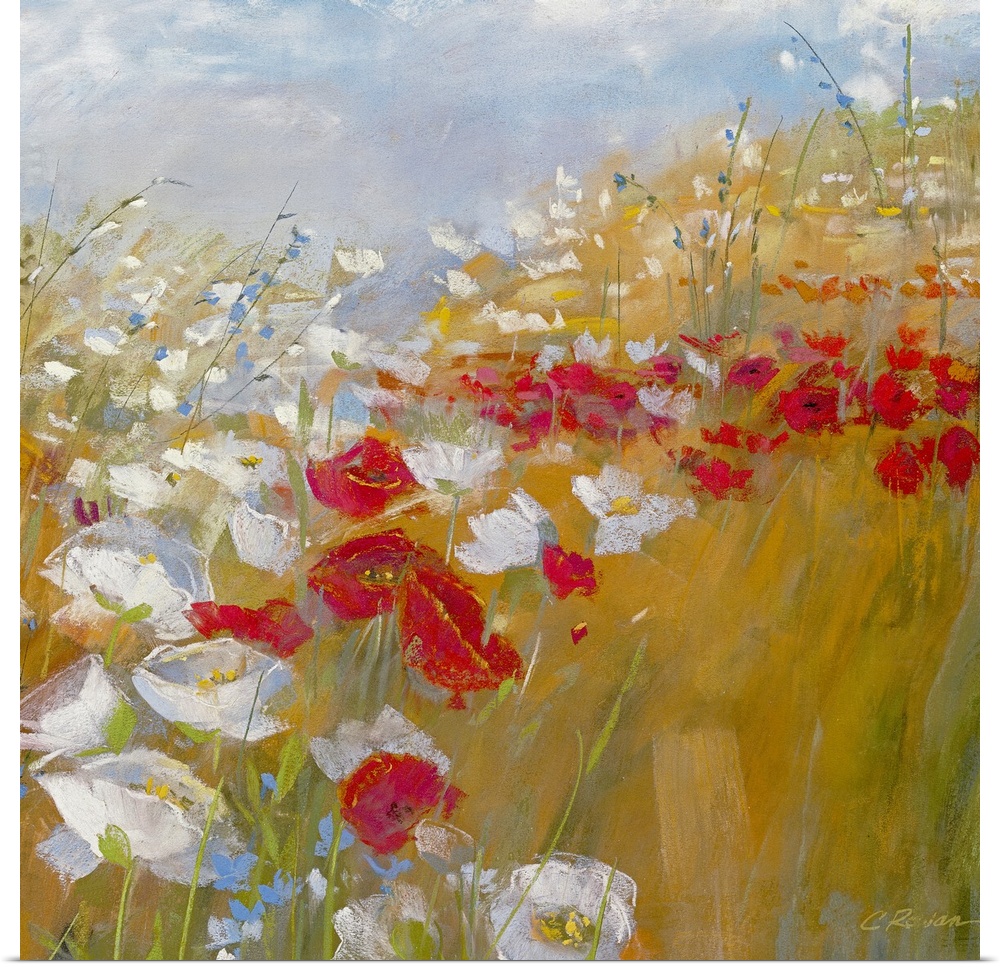 A bright painting in warm colors of red and white flowers in a field under and a blue sky.