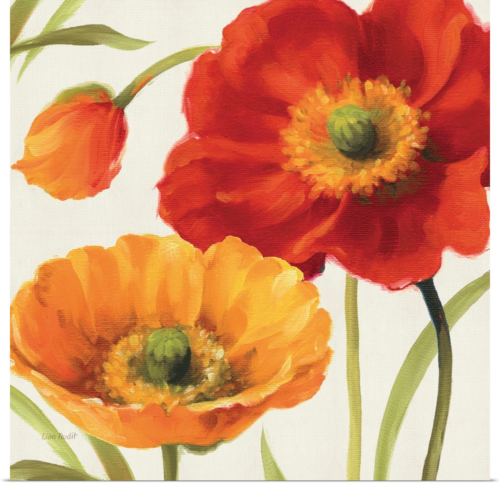 Contemporary artwork of a close-up of bright poppy flowers.