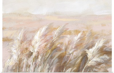 Prairie Grasses