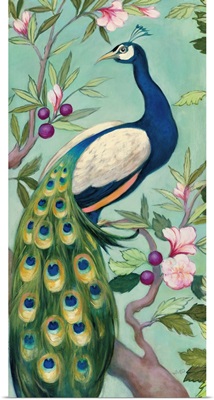 Pretty Peacock II