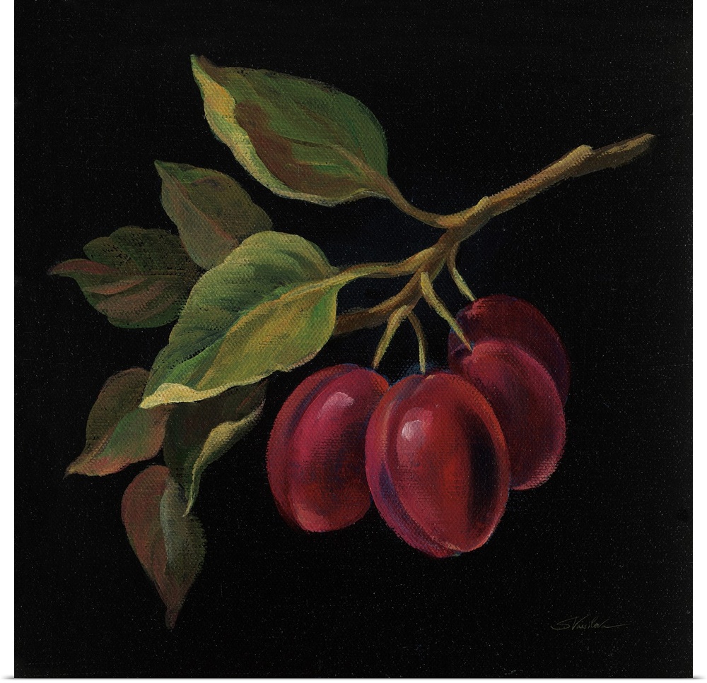 Square painting of prunes on the vine with a solid black background.