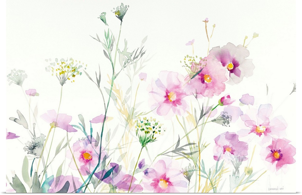 Watercolor painting of soft cosmos flowers and Queen Annes Lace on a white background.