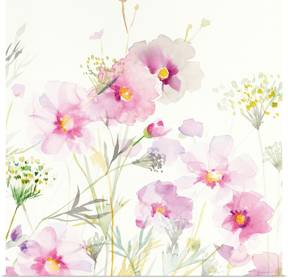 Watercolor painting of soft cosmos flowers and Queen Annes Lace on a white square background.
